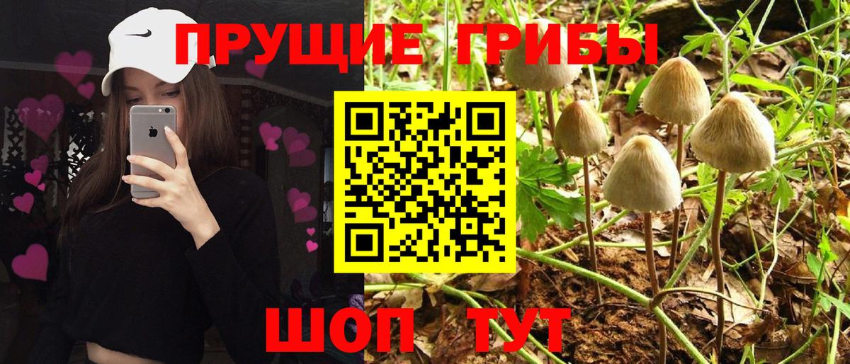 МЕФ   Кокаин  Героин  Вход с VPN  ГАШИШ  ГАШ  Кизляр  МАРИХУАНА 