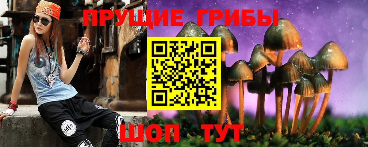 что такое наркотик  Вход с VPN  Кизляр  Псилоцибиновые грибы MAGIC MUSHROOMS 